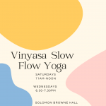 Vinyasa Slow Flow Yoga