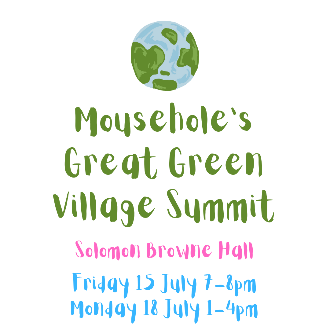 Mousehole's Great Green Village Summit